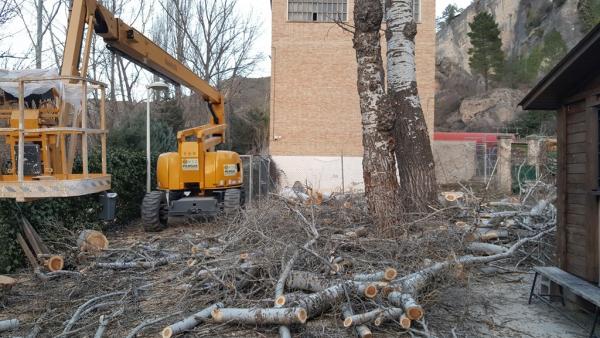 El AYUNTAMIENTO MEJORA LA INSTALACIÓN DE PIRAGÜISMO CON LA CORTA DE CHOPOS