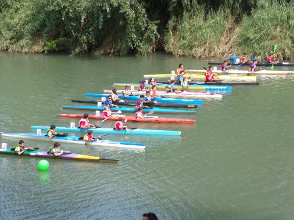 BRONCE EN LA DAVALLADA DEL XUQUER